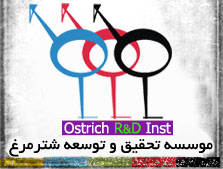 لوگو