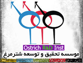 لوگو